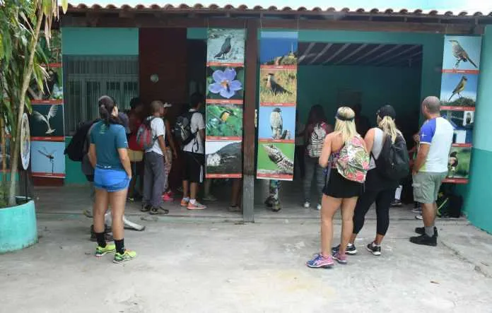 Imagem ilustrativa da imagem Maricá tem vasta programação pela Semana do Meio Ambiente