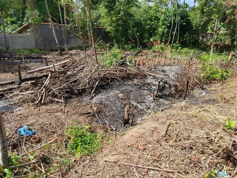 Entre as irregularidades flagradas pela Polícia, desmatamento e captação clandestina de água

>> Segundo os policiais, o proprietário do imóvel disse desconhecer prática irregular no terreno