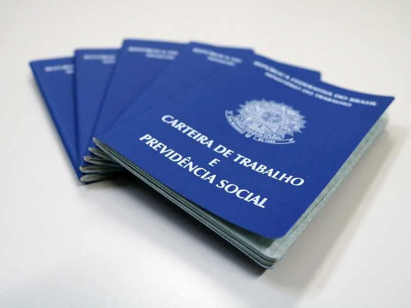 Número de empregos com carteira assinada registrado é maior do que no mesmo mês em 2018