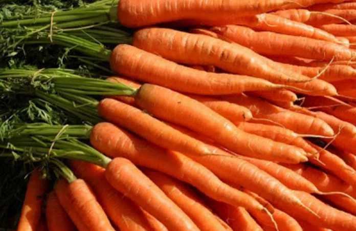  A cenoura subiu cerca de 14,03%, o maior aumento da semana