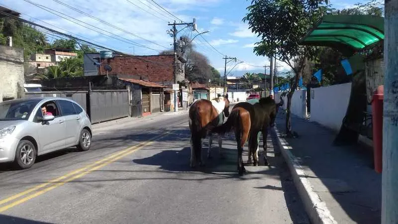 Conselho pede à Prefeitura compra de carretas