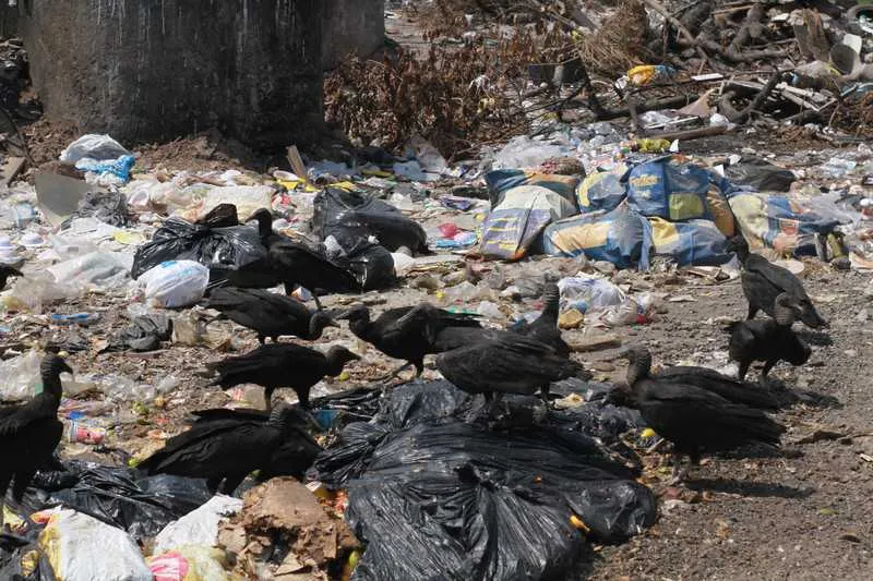 Moradores e motoristas contam que o mau cheiro e a presença de urubus são constantes