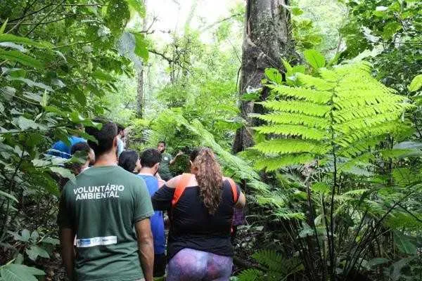 Os voluntários, entre outras atividades, vão ajudar no levantamento e compilação de dados da fauna