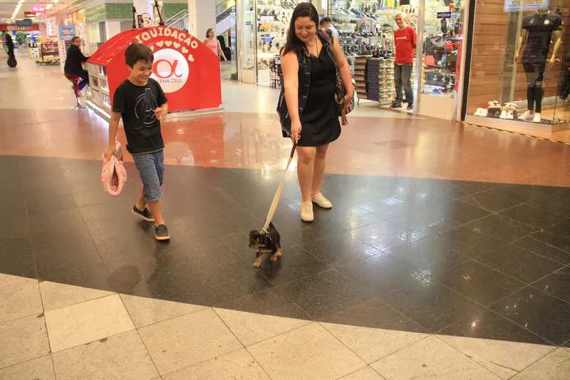 A administradora Aline Cardoso agora pode passear livremente em shopping com a cachorrinha Aisha