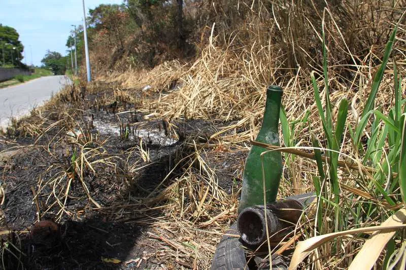Não queimar lixo e não jogar garrafas de vidro em áreas florestais são algumas dicas
