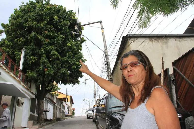 Moradores pedem a poda da árvore há cerca de quatro anos