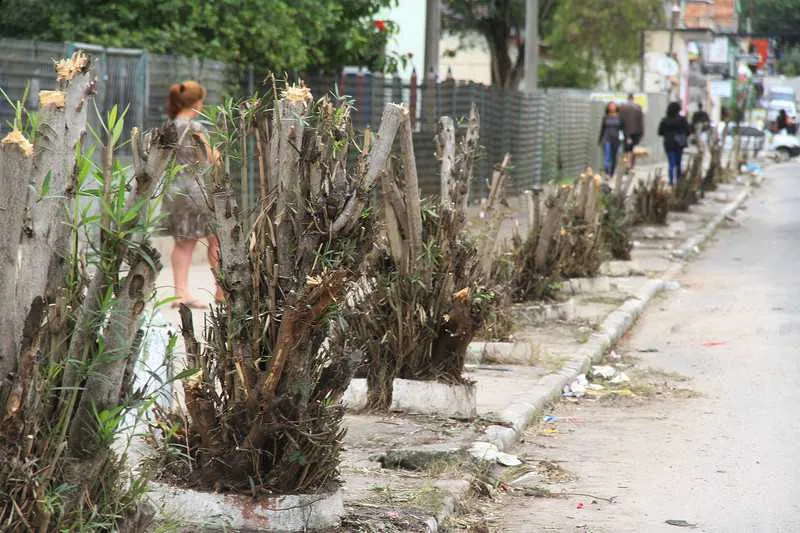  A revolta dos moradores em relação à poda foi parar nas redes sociais através de um vídeo