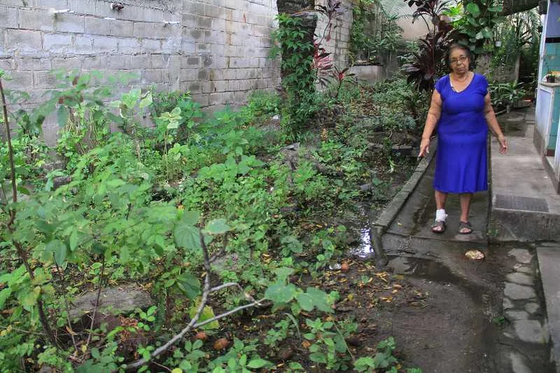 Segundo Leda Ribas, água ‘mina’ no quintal sem explicação
Leda Sayão