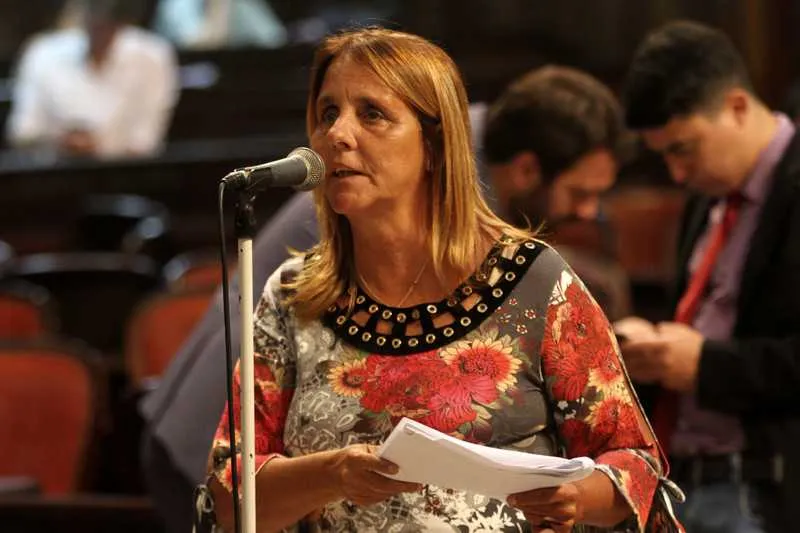 Projeto da deputada Lucinha (PSDB)  vai seguir para  aprovação do governador em exercício Francisco Dornelles