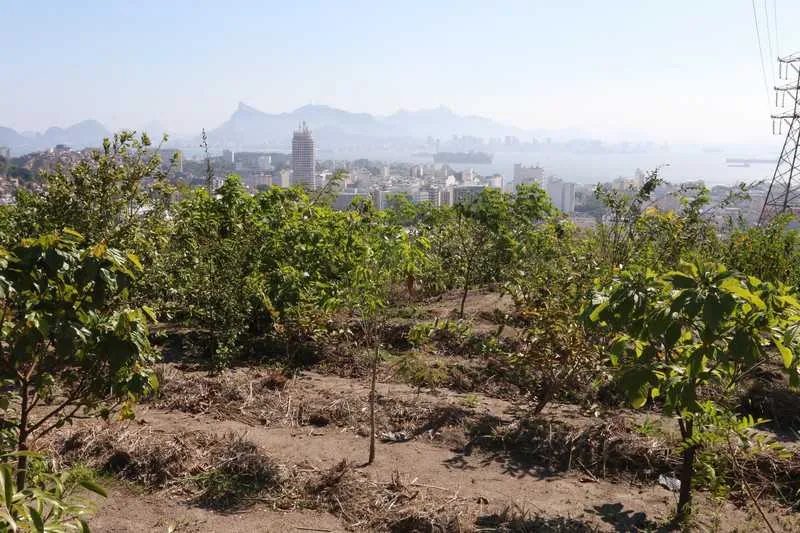 Morro Boa Vista faz parte da região do futuro parque