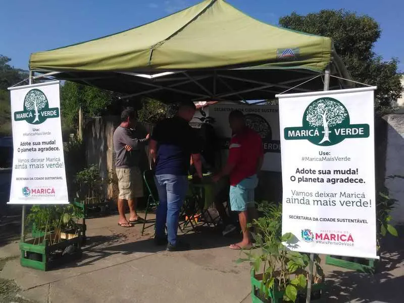 Mudas de espéciais nativas foram distribuídas nos bairros