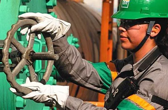 Oportunidades são para níveis superior e para médio técnico