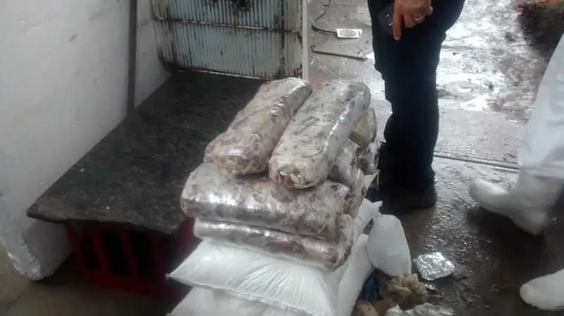  Fábrica clandestina de carne seca foi interditada pelos policiais