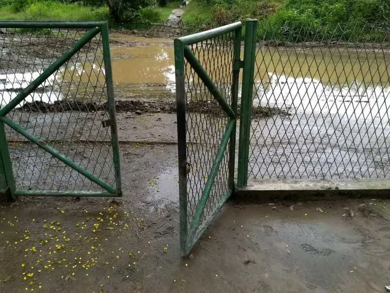 Imagem ilustrativa da imagem Alunos seguem com problemas para entrar em escola de Ipiíba