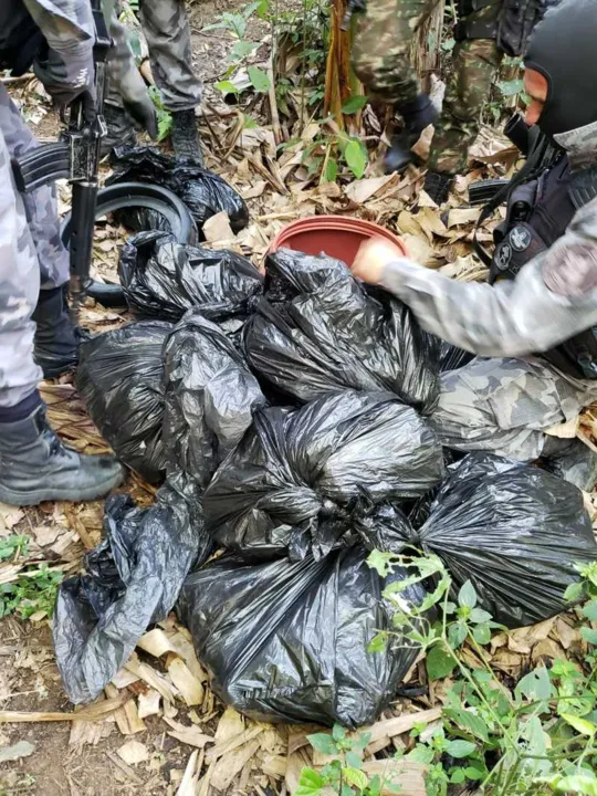Polícia apreende grande quantidade de drogas no Salgueiro