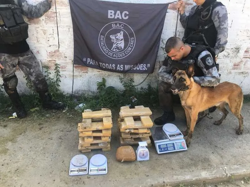 PM e Exército estão operando no Complexo do Salgueiro