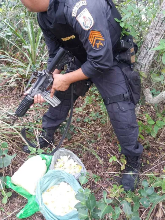 Material estava em uma área de mangue