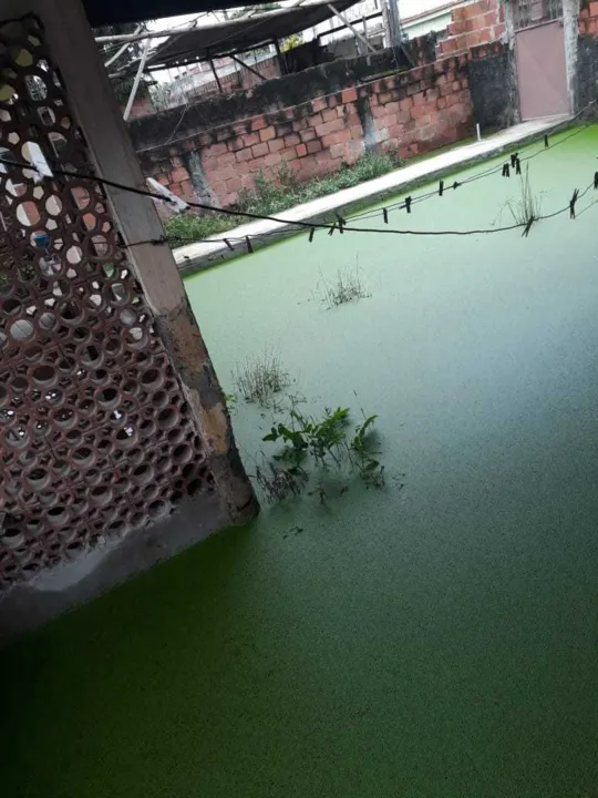 Casas são invadidas pelas águas sujas de esgoto e de chuva