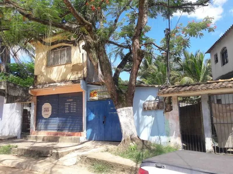 Árvore pode cair em cima de 8 casas, uma igreja e uma loja
