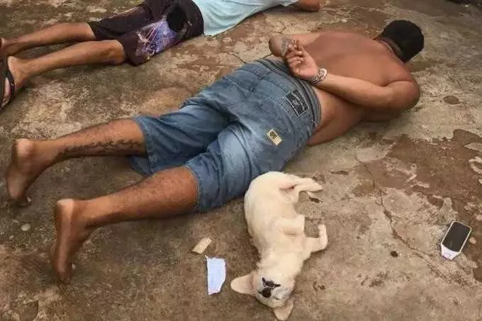 Homens, e a cachorra, estavam com 11 kg de maconha
