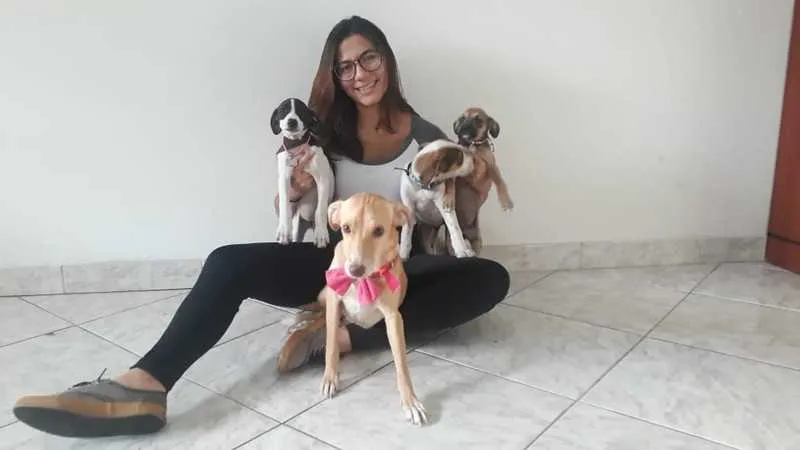  Estudante de veterinária dedica seu tempo livre a resgatar animais que foram deixados nas ruas