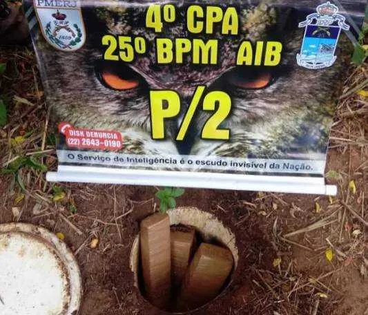 O entorpecente foi localizado enterrado na mata.