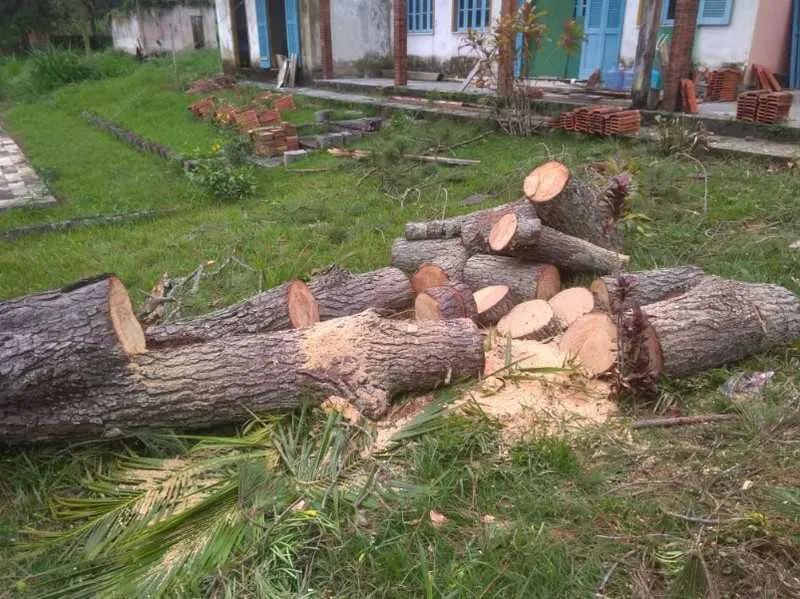 Ninguém foi preso na ação