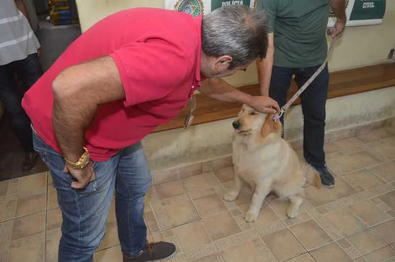 Cadela foi levada para a 75ª DP e está a caminho de casa  