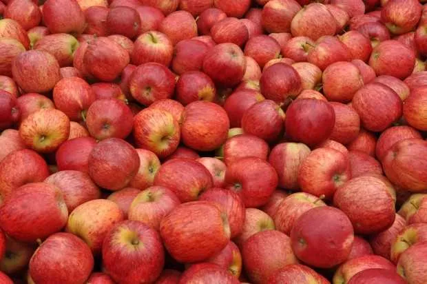 A maçã é a grande ‘vilã’ da cesta na semana: está 56% mais cara