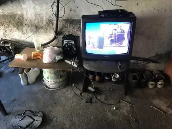 Profissionais são oriundos do Nordeste