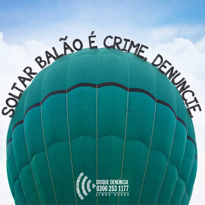Somente em 2018, o Linha Verde registrou de 8.773 denúncias referentes a crimes ambientais