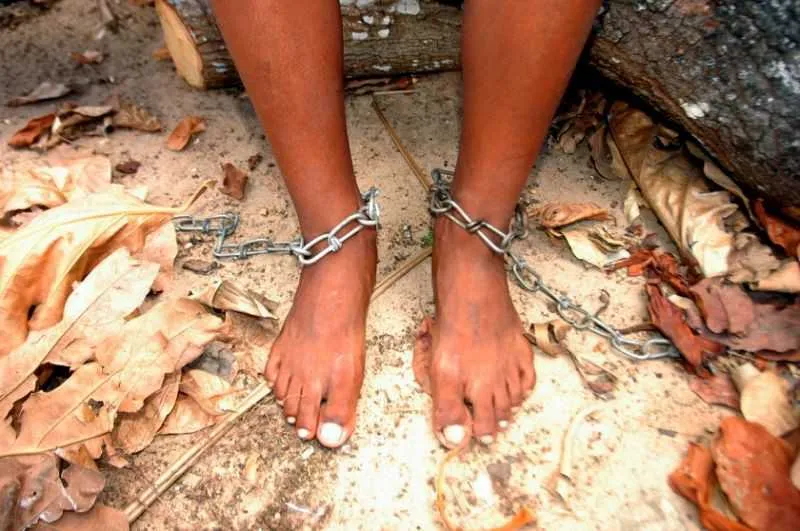 Imagem ilustrativa da imagem 'Homens-tatu' são resgatados de condições análogas à escravidão