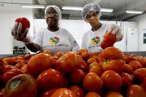 Antes de seguirem para as instituições, os alimentos que serão doados passam por triagem