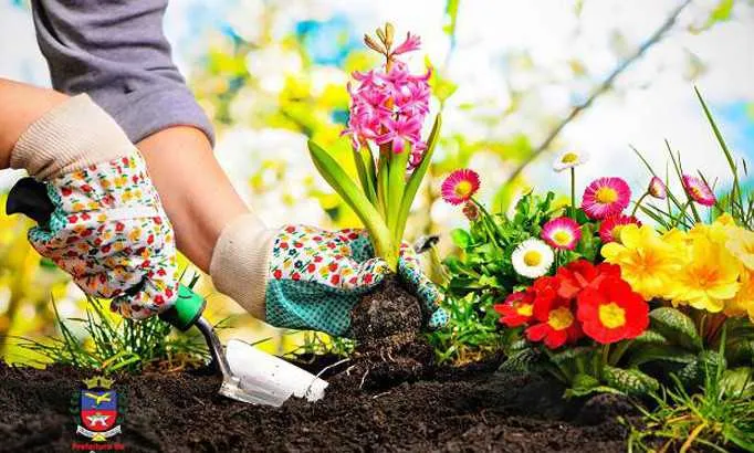 
Aulas do curso abordarão uso de ferramentas, vegetação, aterros, escavações, forração e outros
