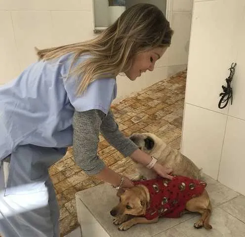 Veterinária Julia Oliveira de Camargo alerta sobre o tipo de roupa a ser usada nos pets