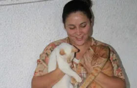 Como bons amigos: dicas para reconciliar os peludos