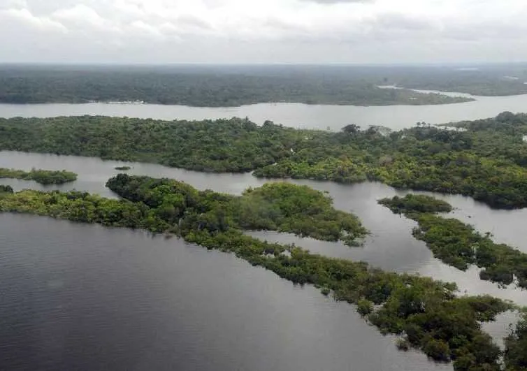 Bolsonaro voltou a dizer que as queimadas na Amazônia são criminosas