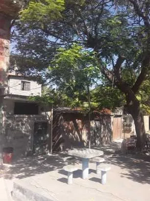 As árvores precisam ser podadas para melhor iluminação no bairro 