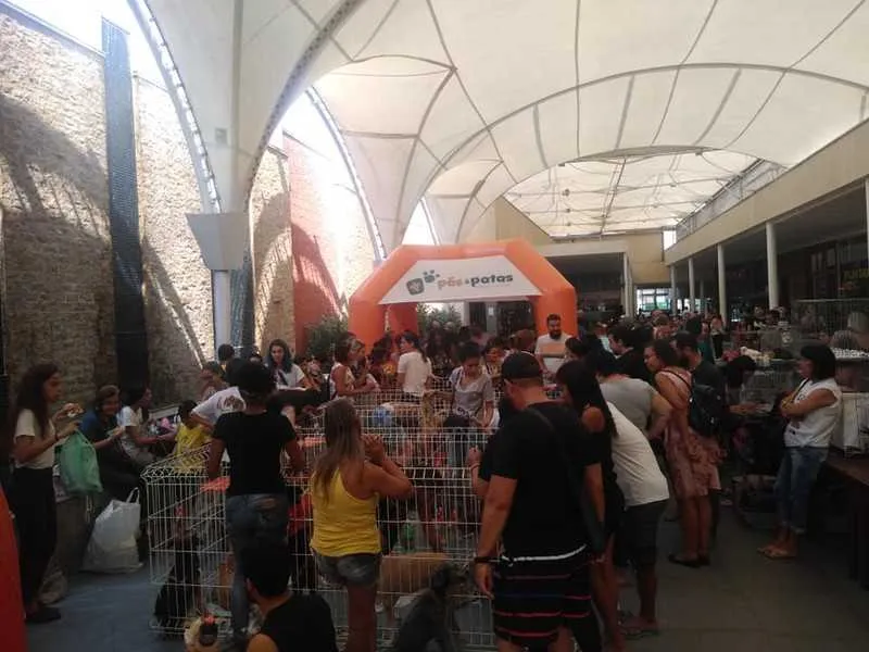 Tema da feira foi: “Amigo não se compra, adota!”