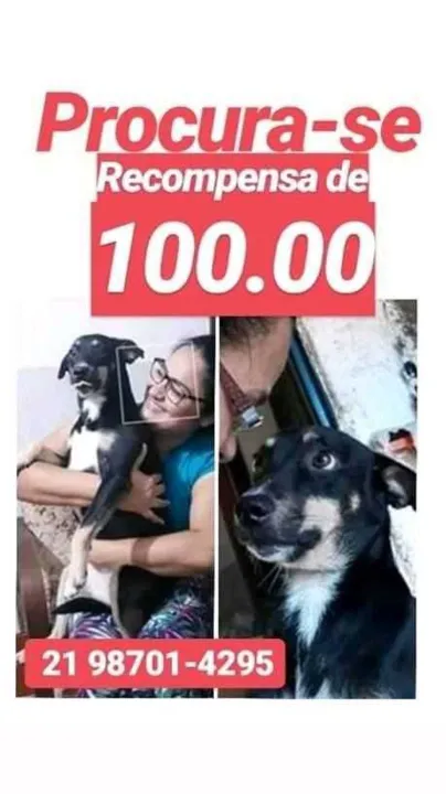 Jully ou Juju desapareceu faz uma semana