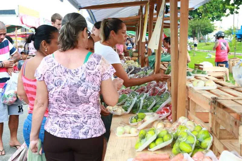Com este crescimento, ganham os empresários, que têm uma série de benefícios como por exemplo o direito a aposentadoria