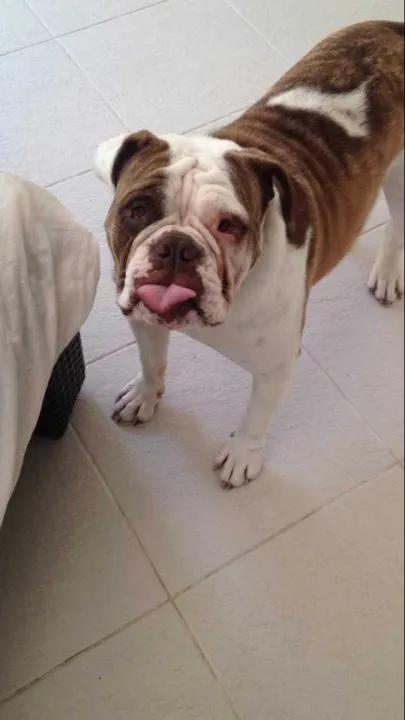 Caso aconteceu em Itaipuaçu