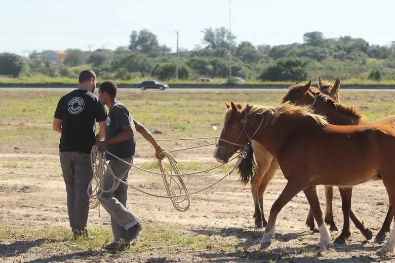  Denúncias podem ser feitas pelo telefone