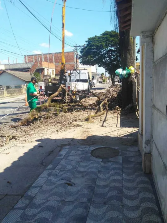 Equipe de limpeza da prefeitura foi até o local para podar as árvores