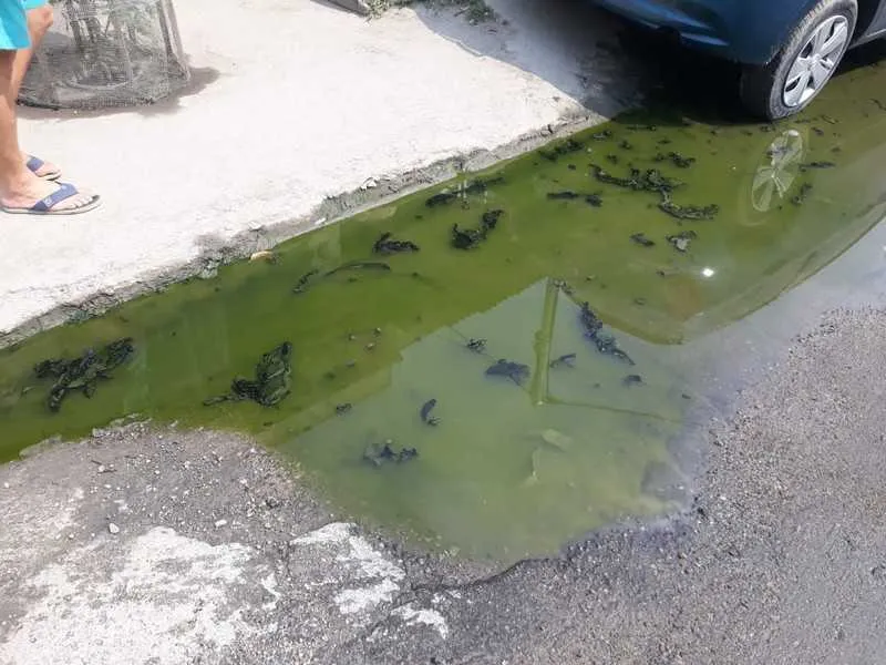 O esgoto está localizado na Rua Macaé, no bairro de Trindade, em São Gonçalo.