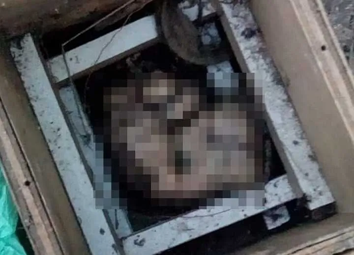 Não foi possível precisar o sexo 