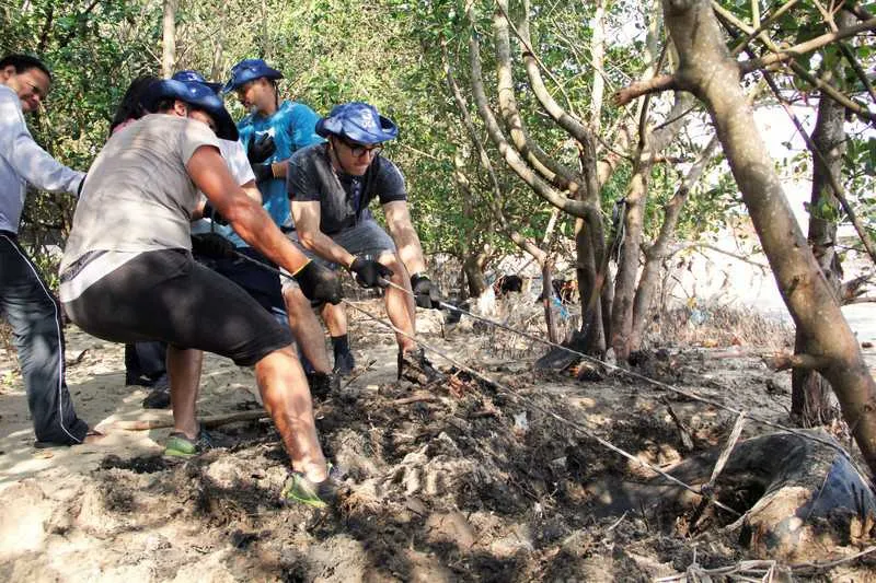 Imagem ilustrativa da imagem Ação na Praia das Pedrinhas retira 1 tonelada de resíduos sólidos inorgânicos