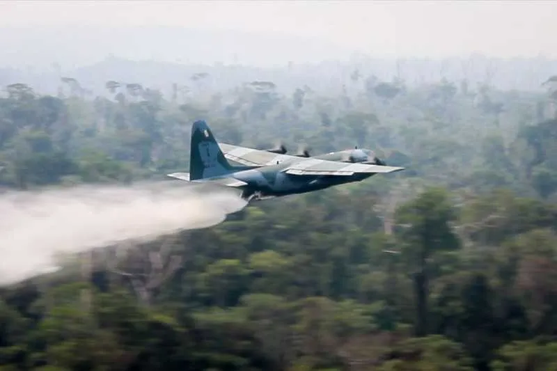 Imagem ilustrativa da imagem Sete estados já pediram apoio  para combater incêndios