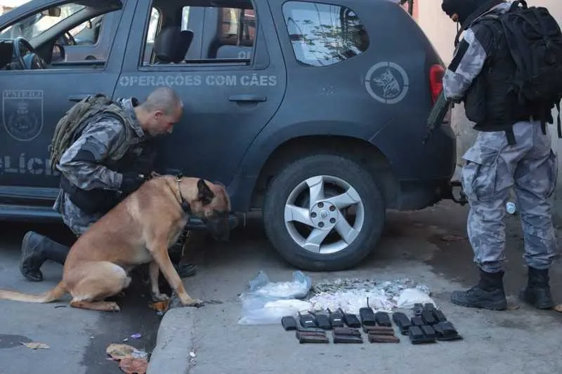 Cão Google foi o herói ao localizar drogas e munições