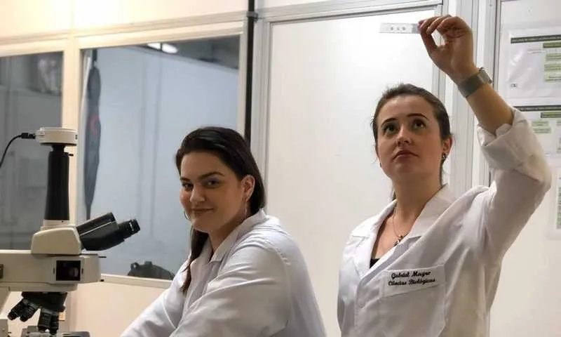 Vírus causa uma inflamação grave nos cérebros adultos